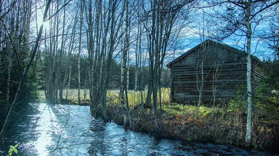 Cabaña de madera junto a un río de aguas cristalinas